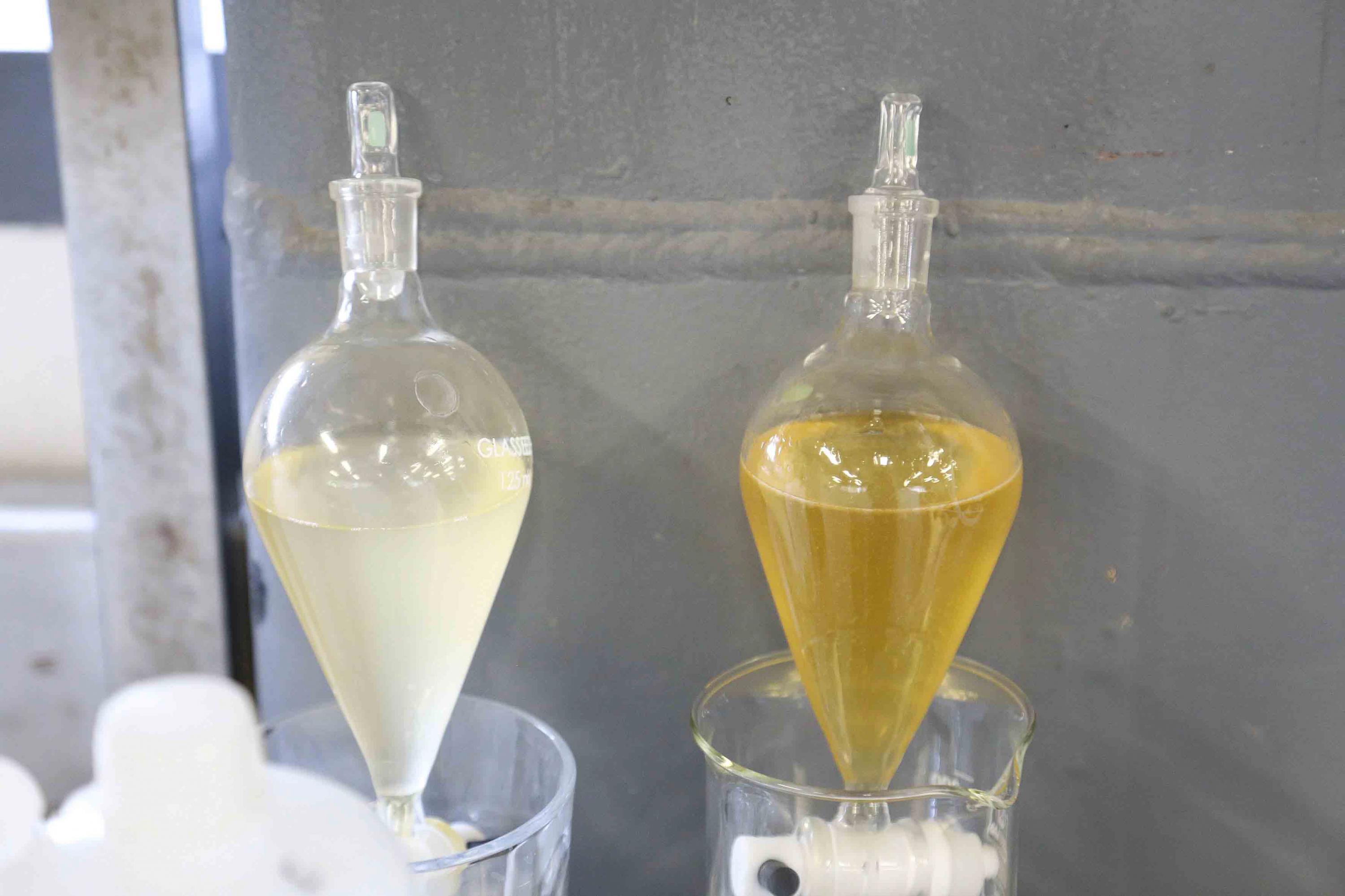 Convierten aceite comestible en biodiésel en CUTonalá
